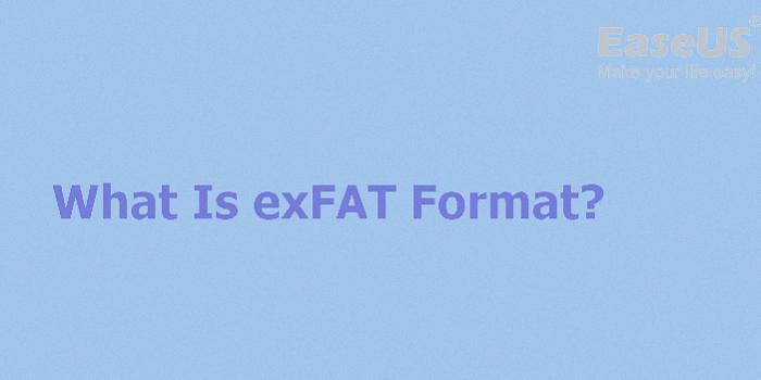 read exfat on windows xp read exfat on windows xp