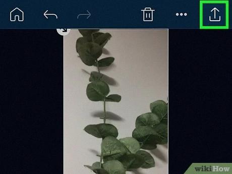 reverse audio instagram reverse audio instagram