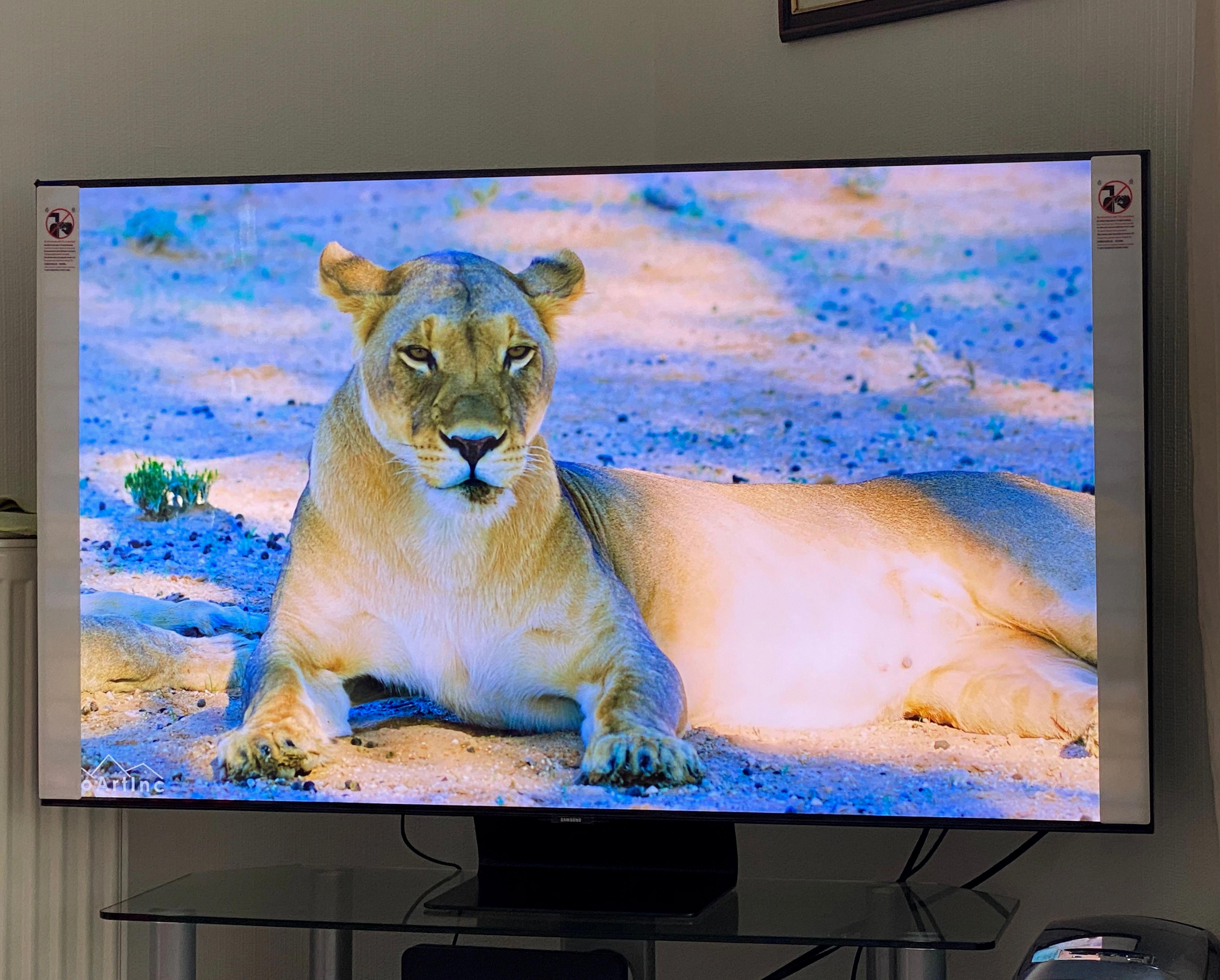 tv screen is blue tint tv screen is blue tint
