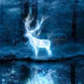 Everything you need to know about Patronus Test 6 Everything you need to know about Patronus Test 5