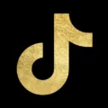 How To Download All My Tiktok Videos At Once 4
