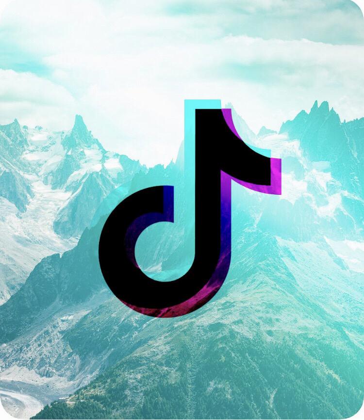 How To Get More Followers On Tiktok 3 How To Get More Followers On Tiktok 2