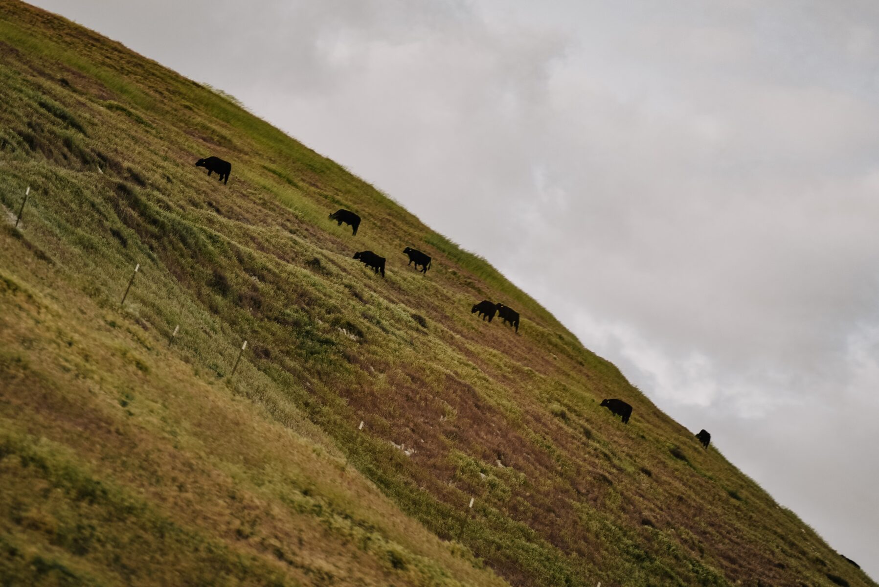 Steepness Of The Slope What Does It Mean DeviceMAG