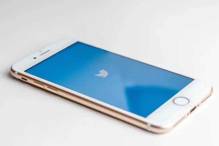 What You Need to Know About Screenshotting Tweets 4
