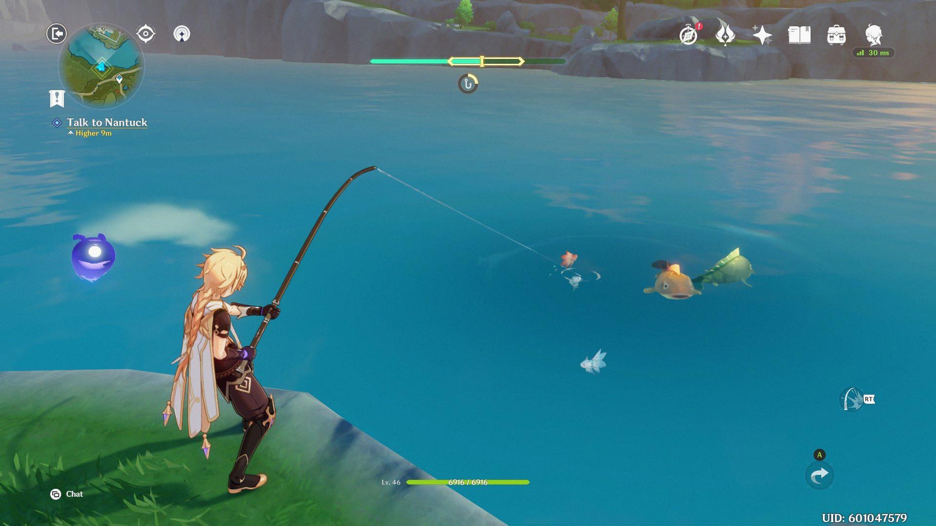 how often do fish respawn genshin