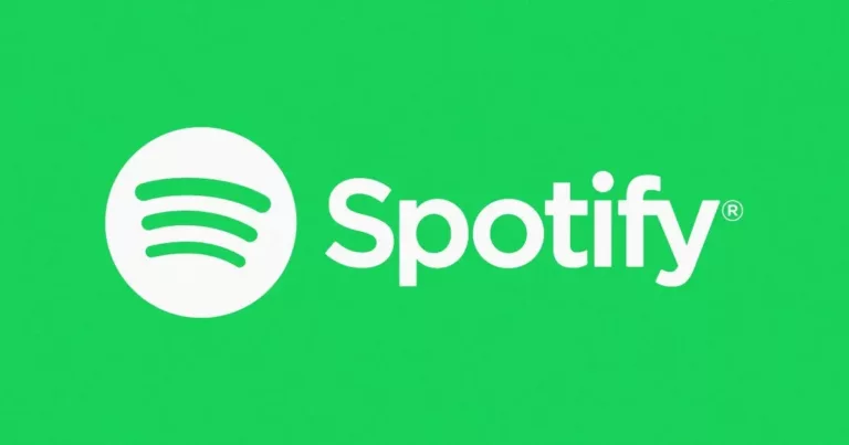 How To Add Spotify Family Member 8