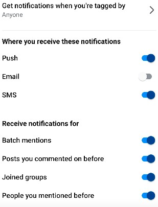 Facebook Notifications Troubleshooting Tips 5 Facebook tag notification preferences with batch mentions and groups toggles