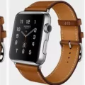 Apple Hermes Watch Face - 23 Question Solved 10