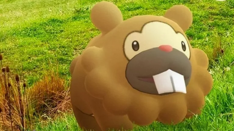 27 Facts About Bidoof - Pokémon 6