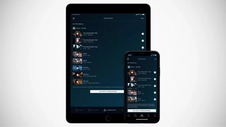 How To Download Hulu Content 3