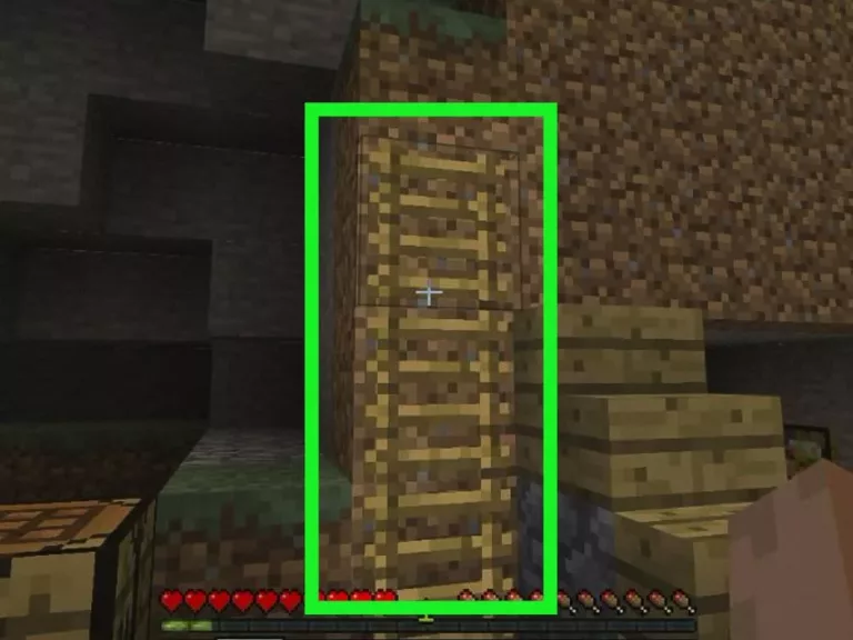 20 Minecraft Tips - Ladders 13