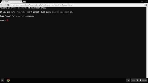 How To Open Crosh on Your Chrome 5