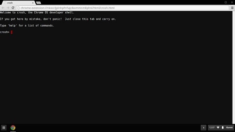 How To Open Crosh on Your Chrome - DeviceMAG