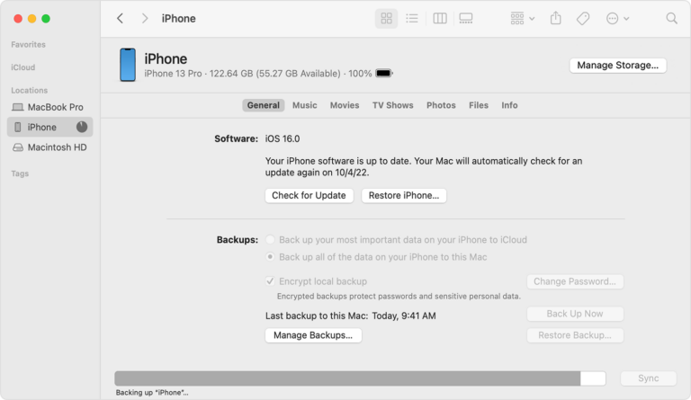 How to Backup Your iPhone on a MacBook 19