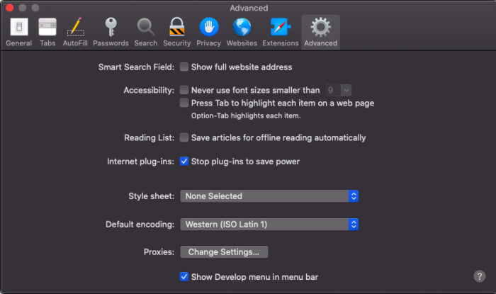 How to Safari Inspect Element on Mac 11