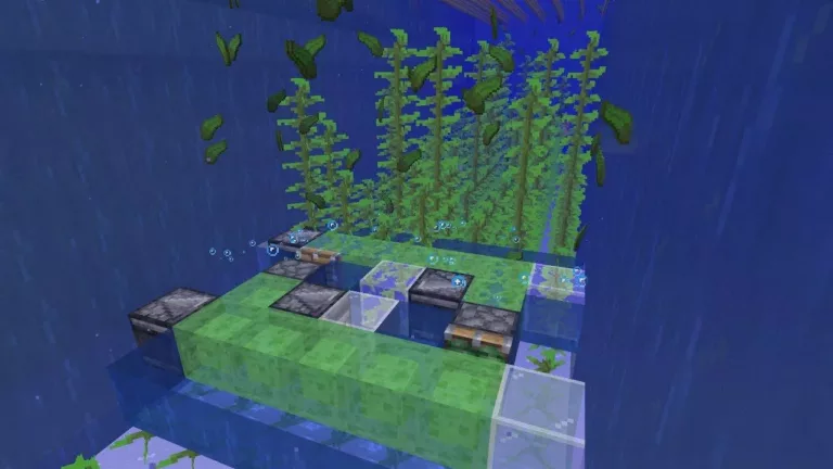 31 Facts About Minecraft - Kelp 9