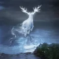 What Your Pottermore Patronus Says About You ? 9