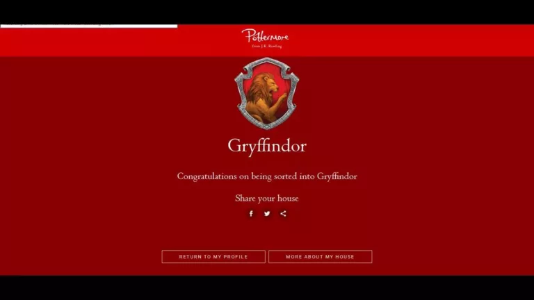 The Pottermore House Quiz - What Hogwarts House Do You Belong In? 8