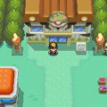 A Guide to Safari Zone HeartGold's Most Exciting Adventure 9