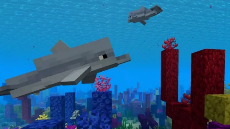 31 Facts About Minecraft - Dolphins 5