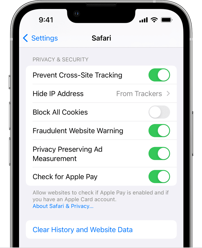 How to Check Your History on iPhone 1