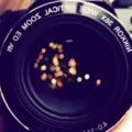 Close Camera: A Guide to Capturing Intimate Shots! 2 Close Camera: A Guide to Capturing Intimate Shots! 1