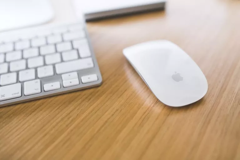 How to Connect a Mouse to Mac 1