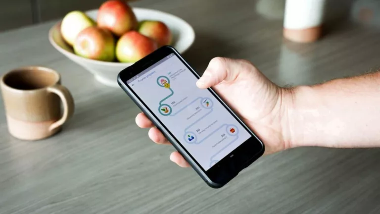Step Up Your Fitness Goals with the Noom System Pedometer App 13