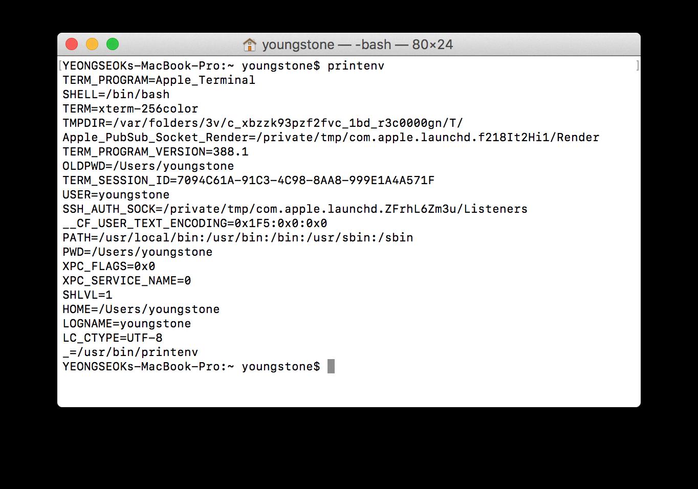 how-to-set-environment-variables-on-your-mac-devicemag