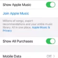 Unleash the Power of Apple Music with the Sync Library Feature 11
