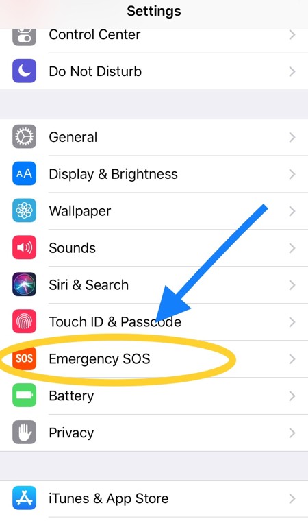 iPhone settings menu highlighting Emergency SOS option for setup