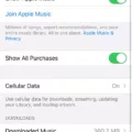 How to Connect Your Bass to Your iPhone 6