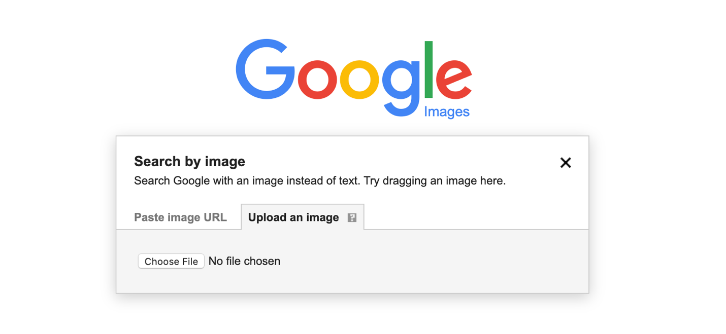Changes Made By Google to Its Image Search Feature 1