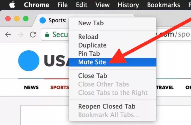 How To Mute Site On Mac 3