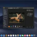 How to Organize Your Photos and Videos on Mac with Finder Gallery View 3