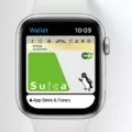The Ultimate Guide to Using Suica With Your Apple Watch 5