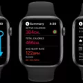 How to Change Your Exercise Goal On Apple Watch 12 How to Change Your Exercise Goal On Apple Watch 11