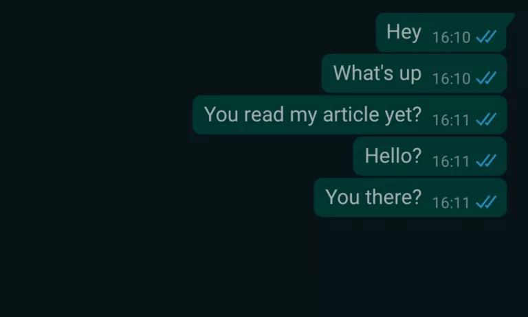 How To Make One Tick On Whatsapp 3