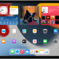 How to Clear Your Recent Searches on iPad 13