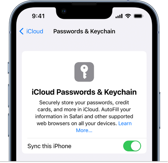 How to Store Your Passwords in iPhone Keychain 15