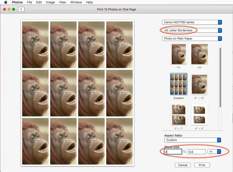 How To Print Wallet-Sized Photos On Mac 19
