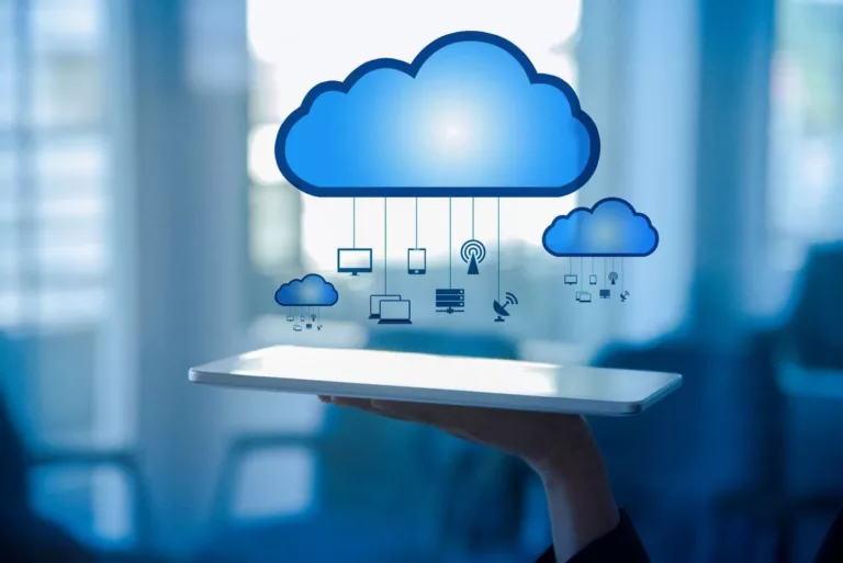 How to Run Tally on Cloud for Mac 11