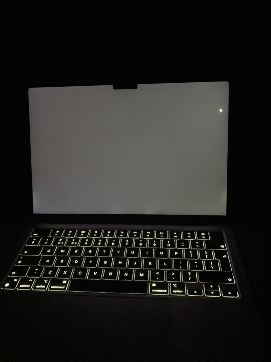 MacBook Pro stuck on white screen at startup with backlit keyboard