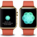 How To Install Breathe App On Apple Watch 15