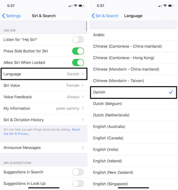 How To Change Siri To Chinese on Your iPhone 1