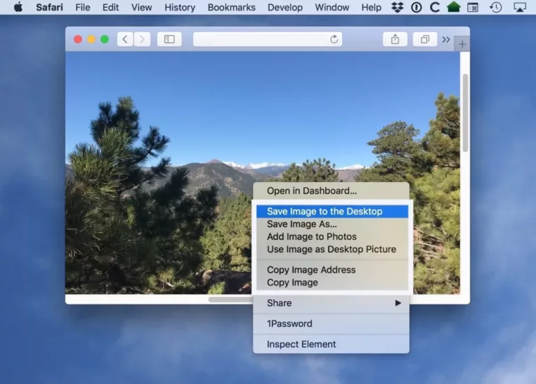 How To Copy Image Address On Mac 3