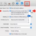 How To Make Safari Screen Bigger 13