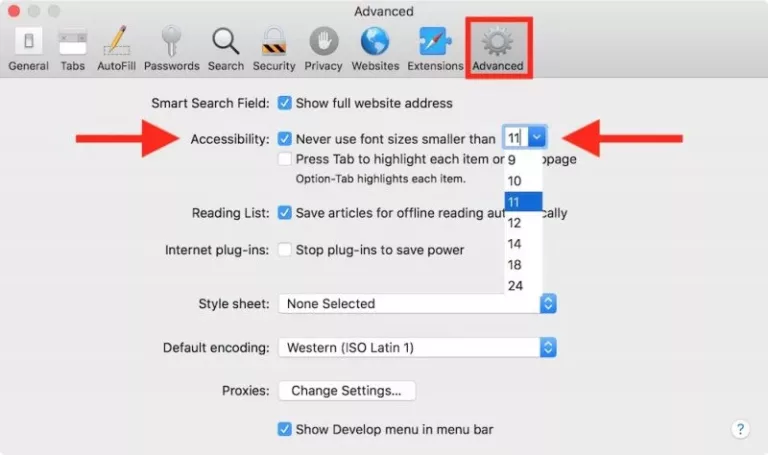 How To Make Safari Screen Bigger 27