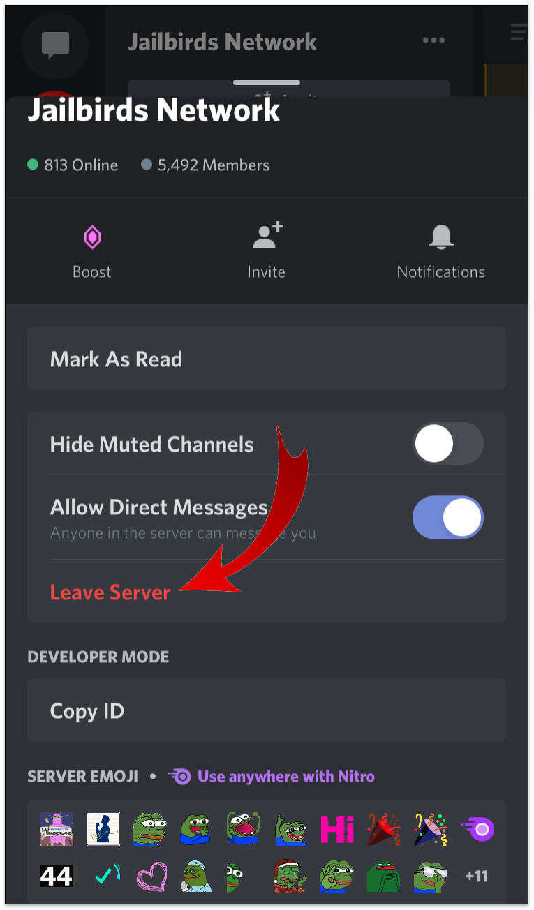 How To Leave A Discord Server On Your iPhone 11