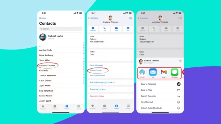 How To Share Contact Card On iPhone 11